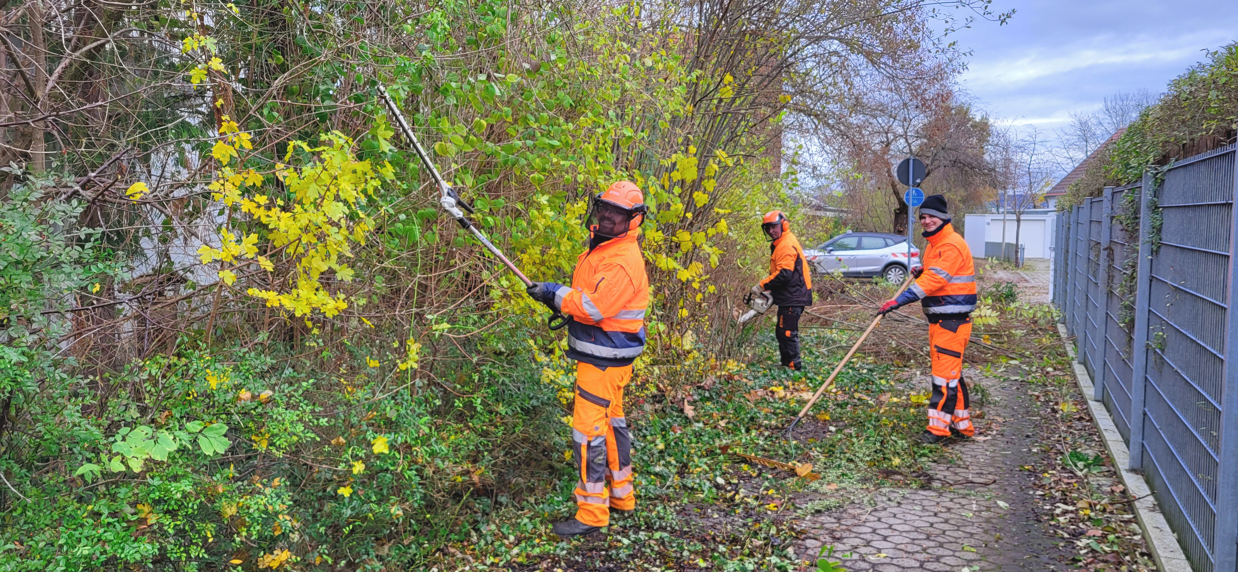 Leider haben wir keinen Alternativtext zu diesem Bild, aber wir arbeiten daran.