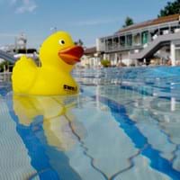 Ente_badet_190619_2.jpg